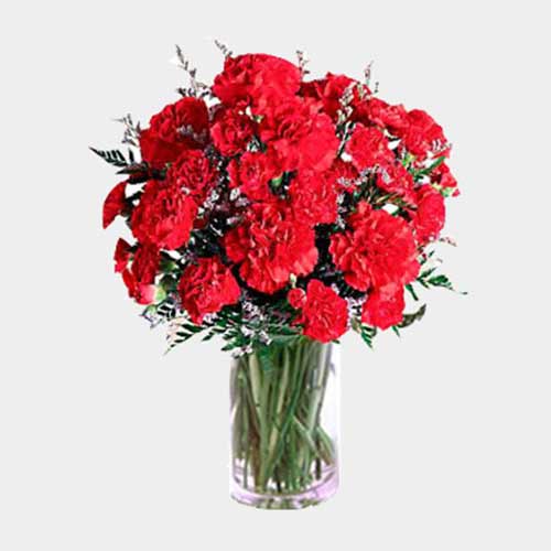 Red Carnations Delight